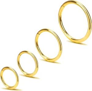 2Pcs Titanium Nose Rings 20G 18G 16G Nose Rings Hoops Septum Clicker Hinged Segment Ring Cartilage Helix Tragus Conch Daith Rook Nostril Hoop Piercing Earring, Diameter 5mm to 12mm Silver-Gold-Rose Gold-Black