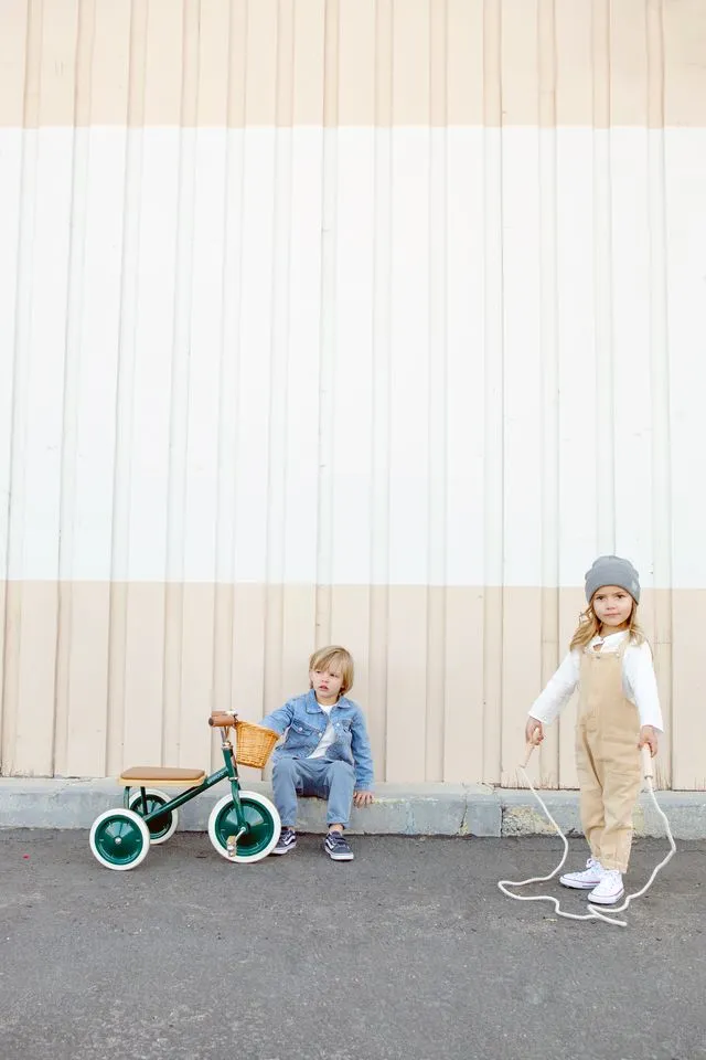 Banwood Trike, Green