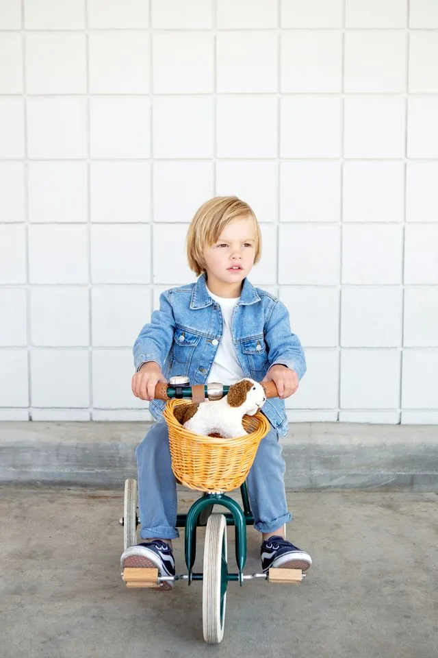 Banwood Trike, Green