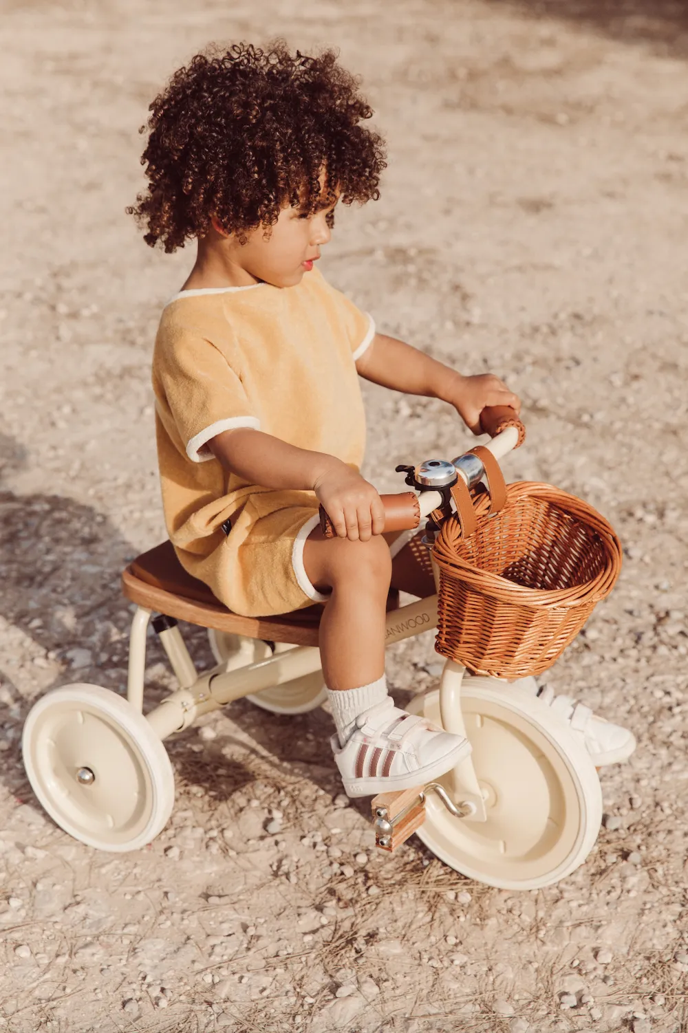 Banwood Trike