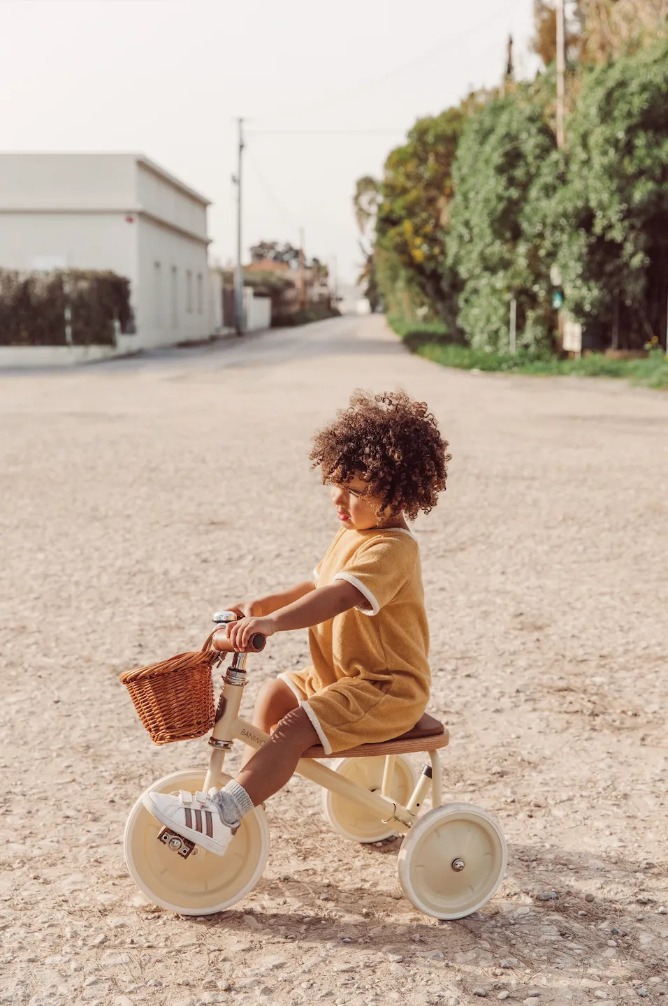 Banwood Trike