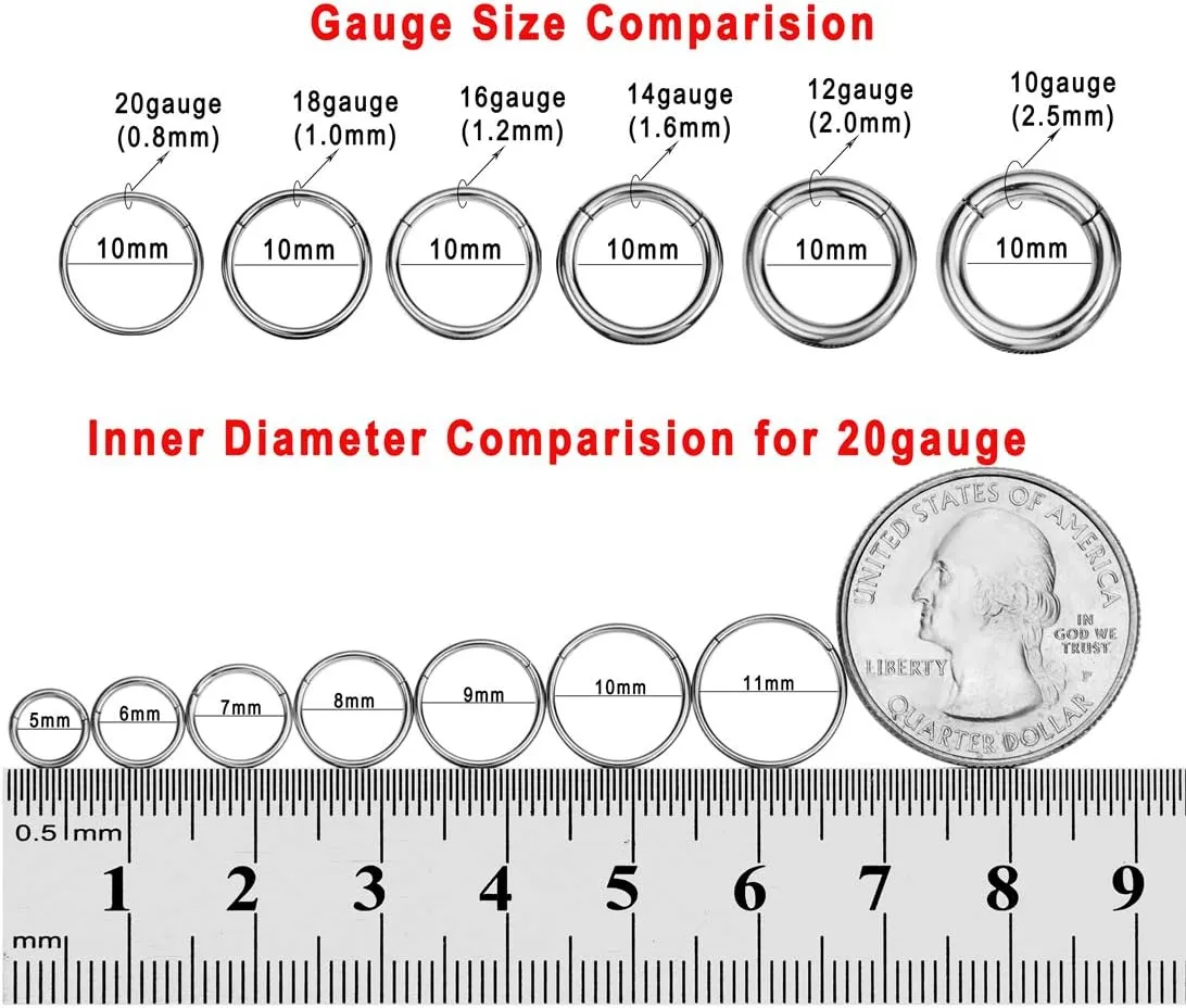 FANSING Men Women 316L Surgical Steel Hinged Nose Rings Hoop for Nostril Septum Cartilage Helix Daith Tragus Rook Conch Lip Ear Lobe Piercings