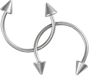 Forbidden Body Jewelry Pair of 20g 3/8" Surgical Steel Horseshoe Earrings