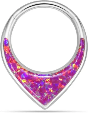 Hypoallergenic Nose Piercing Rings Collection: 316L Surgical Steel Hoop Earrings for Septum, Cartilage, Hinged Helix, Rook, Conch, Tragus, Lip