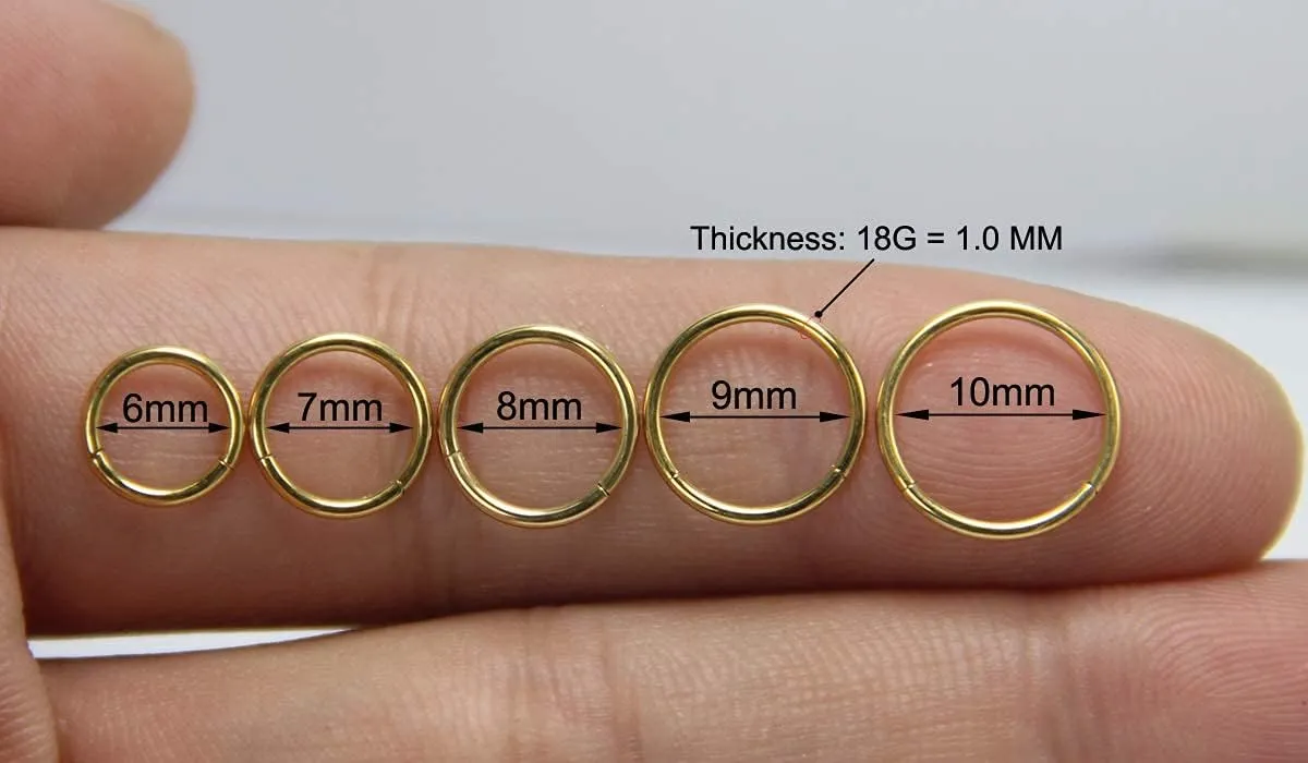 Nose Ring Septum Hoop 20G/18G/16G/14G/12G 316L Surgical Stainless Steel Hinged Seamless Earrings, Diameter 5MM-16MM, Gold/Silver/Black/Rose Gold/Rainbow Color
