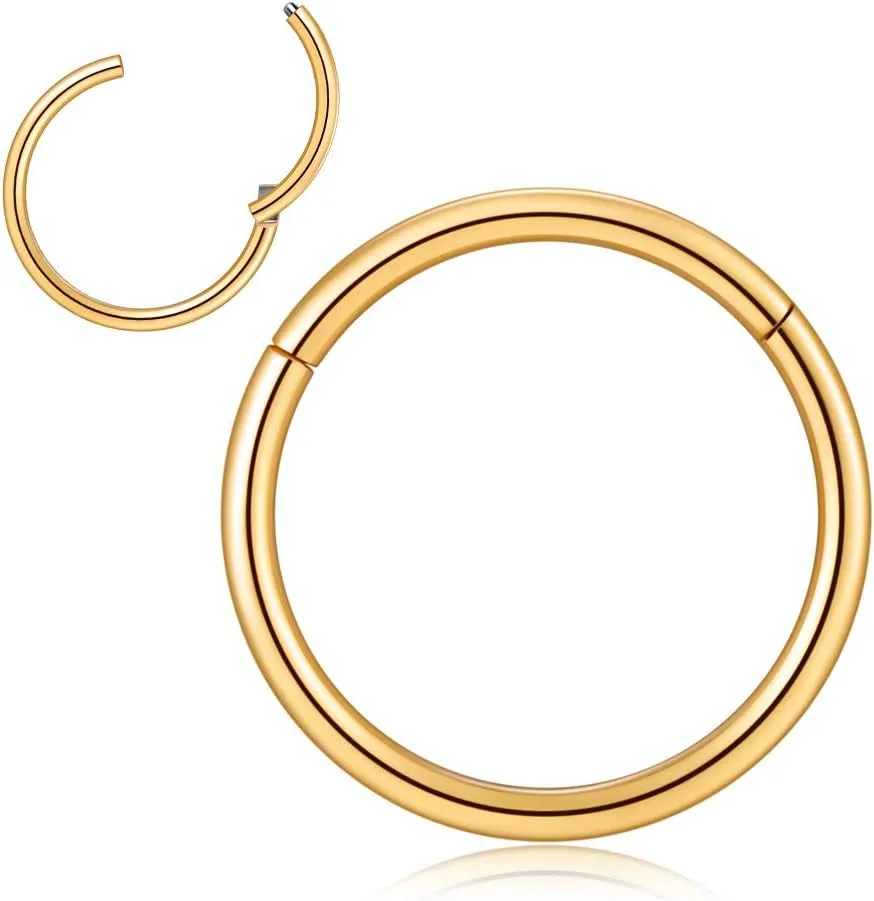Nose Ring Septum Hoop 20G/18G/16G/14G/12G 316L Surgical Stainless Steel Hinged Seamless Earrings, Diameter 5MM-16MM, Gold/Silver/Black/Rose Gold/Rainbow Color