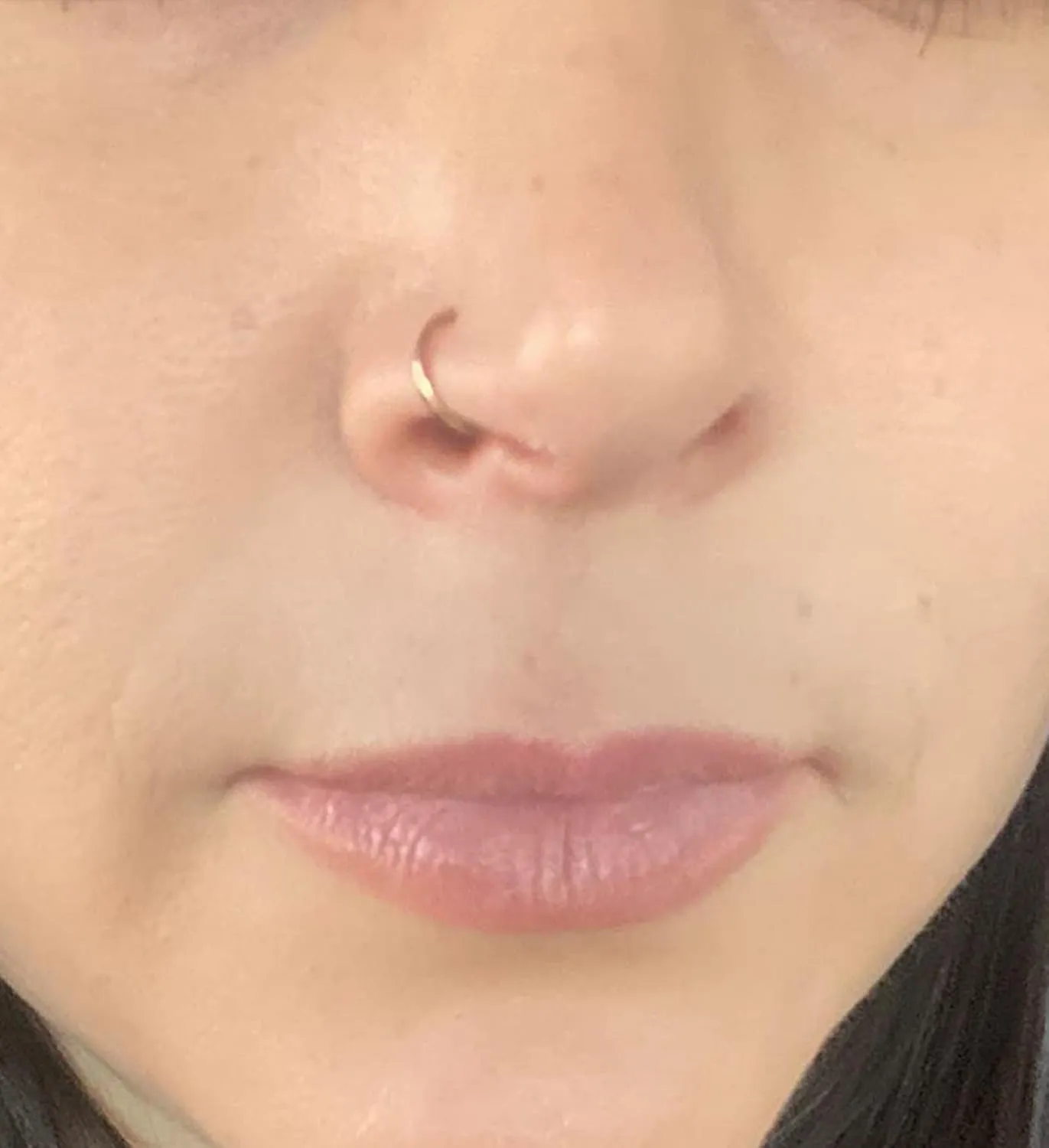 QWALIT Fake Nose Ring Fake Lip Piercing Fake Lip Ring Fake Nose Ring Hoop Fake Snake Bites Fake Lip Piercings Faux Lip Rings Fake Nose Piercing Clip on Nose Ring Spring
