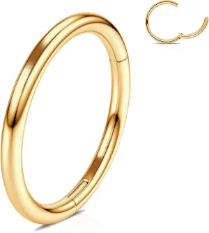 WBRWP 316L Stainless-Steel Hinged Nose Rings Hoop : 20G 18G 16G 14G Womens and Mens Body Pierecing Ring Segment Ring Lip Rings Nose Helix Cartilage Rook EarringsDiameter 6mm 8mm 10mm 12mm